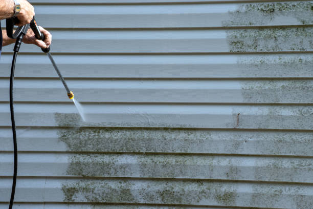Best Stucco Siding  in Sacaton, AZ